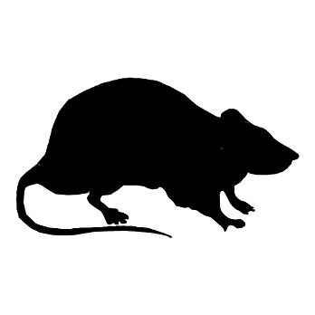 Rat silhouette icon